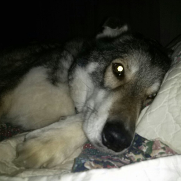 Meet your Posher, Linda - Picture 6 of 6